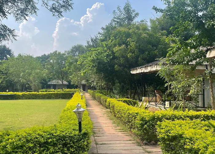 Sariska Tiger Heaven